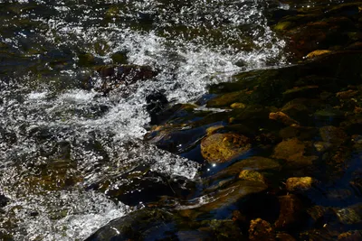 DSC_9908 (Large).JPG